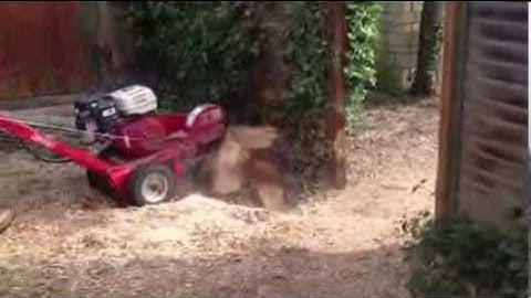 Camon c500 stump grinder
