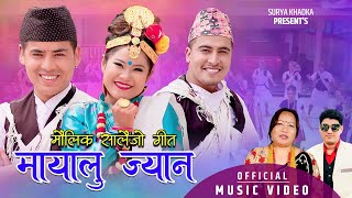 New Nepali Salaijo Song 2020 | मौलिक सालैजो | Mayalu Jhyan | Surya Khadka & Lalmati Thapa