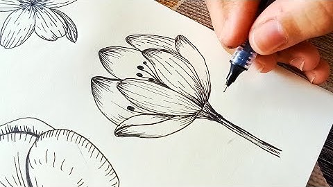 Crocus flower drawing tutorial