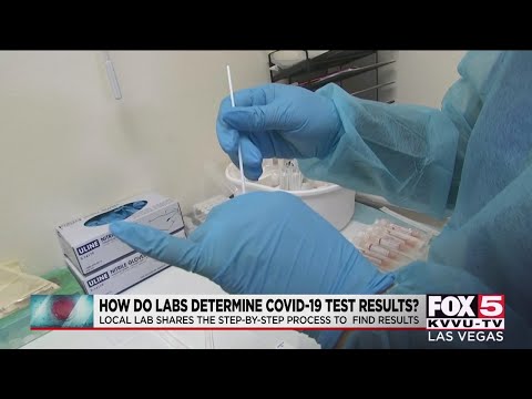 How do labs determine COVID-19 test results? Las Vegas lab shows process