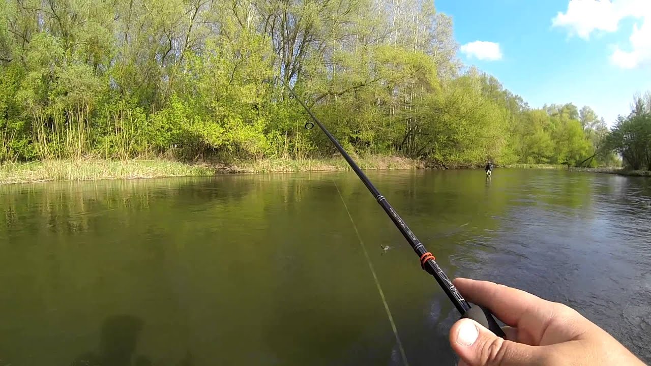 Мой первый голавль - видео отчет о рыбалке.