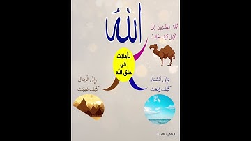 تأملات في خلق الله | تلاوة محمد طالب