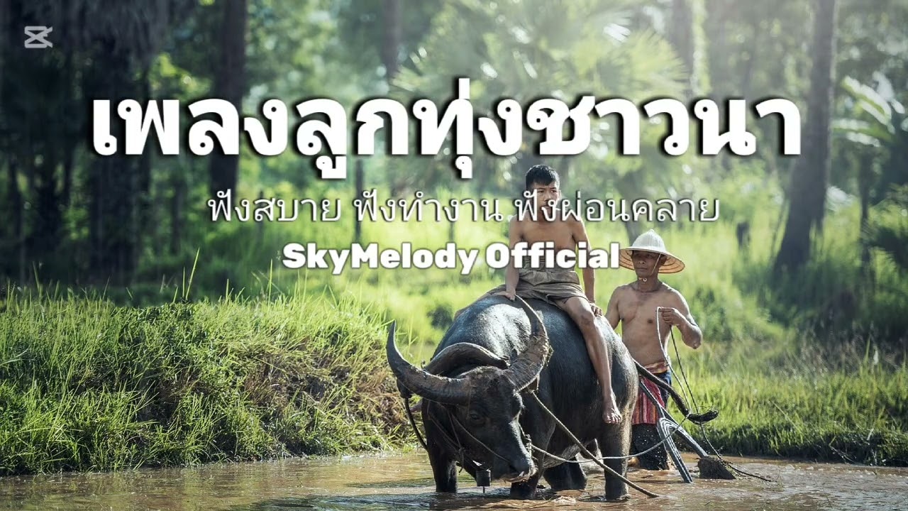 เพลงลูกทุ่งชาวนา ฟังสบาย ฟังเพราะ