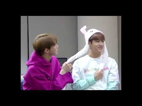[NCT 도영] 토끼 귀가 매우 맘에 들었던 김도영