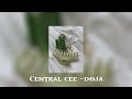 Central cee -doja (speed up) TikTok version