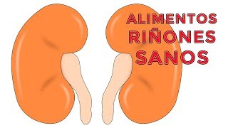 4 Alimentos para Tener unos RIÑONES SANOS by Prevención es Salud 1,267 views 5 years ago 3 minutes, 39 seconds