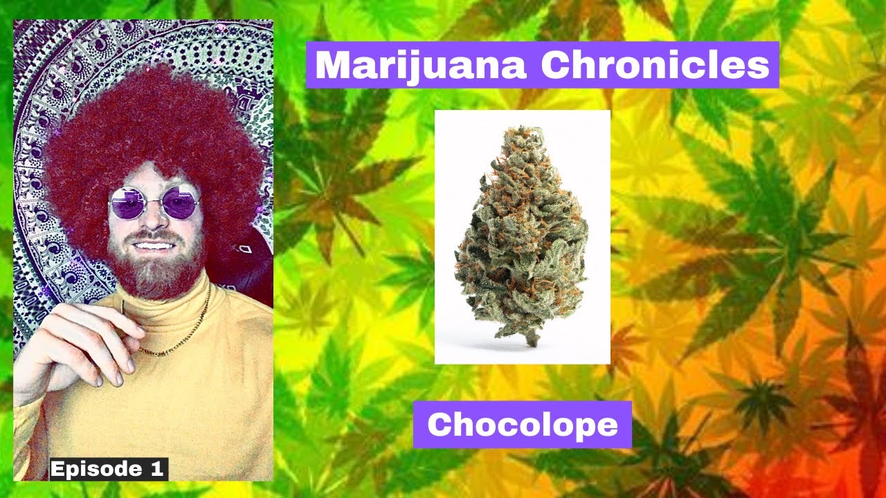 Marijuana Chronicles Episode 1: Chocolope