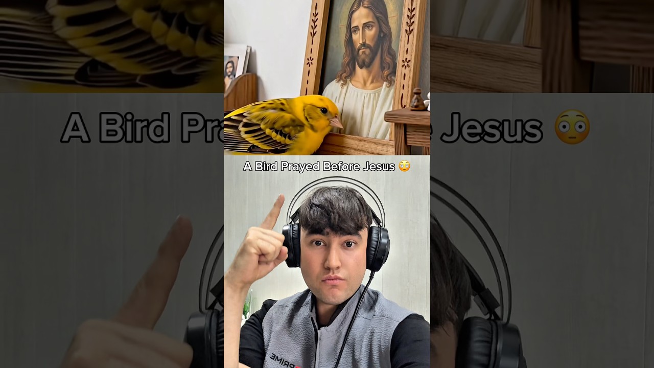 A Bird Prayed Before Jesus 😳