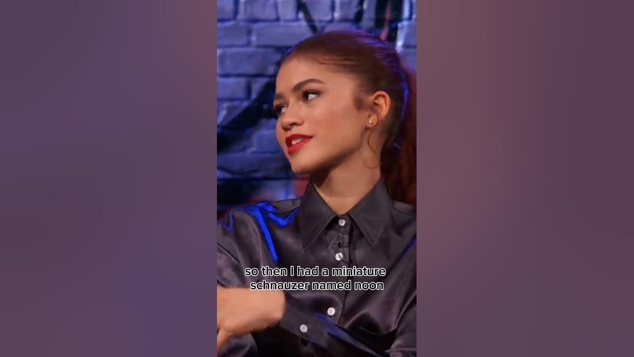 Story behind zendaya's dog name #zendaya #shortvideo #shorts #noon