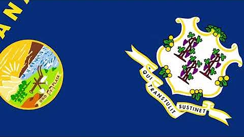 Collab Flag Animation of The U.S. States ￼