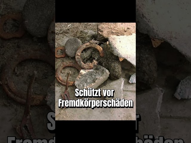 Schneidet Fasern, Feststoffe und schützt vor Beschädigungen durch Fremdkörper: RotaCut von Vogelsang