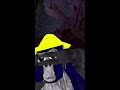 Meta Quest Broadcast | Powered by LIV