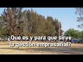 ¿Qué es y para que sirve la gestión empresarial?