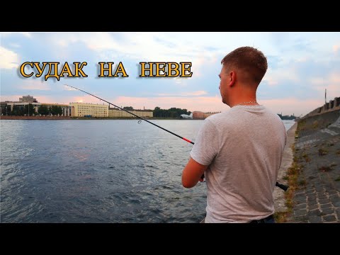 СУДАК НА СПИННИНГ | ОТВОДНОЙ И ДЖИГ