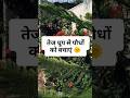ye jarur try kre aur apne plat bchay #explore #gardenflowers #gardenworld #plantcare #summergarden
