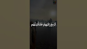 إسلام صبحي ارجع إليهم #سورة_النمل #تلاوة_مميزة #تلاوة_مؤثرة #القرآن_الكريم #تلاوة_خاشعة #تلاوة_هادئة