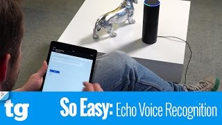 So Easy: How to Help Alexa Understand Your Voice