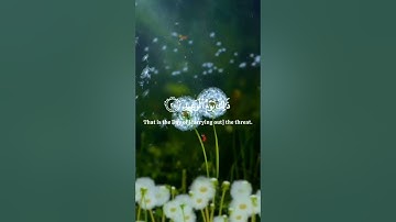 وَجَآءَتۡ سَكۡرَةُ ٱلۡمَوۡتِ بِٱلۡحَقِّۖ🥺🎧|تلاوة مؤثرة للشيخ ياسر الدوسري