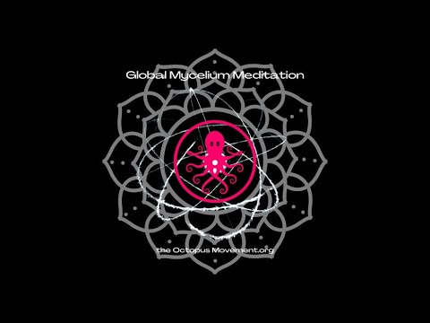Global Mycelium Meditation: A Network of Nonlinear Thinkers