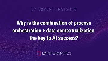 L7 Expert Insights: The Key to AI Success