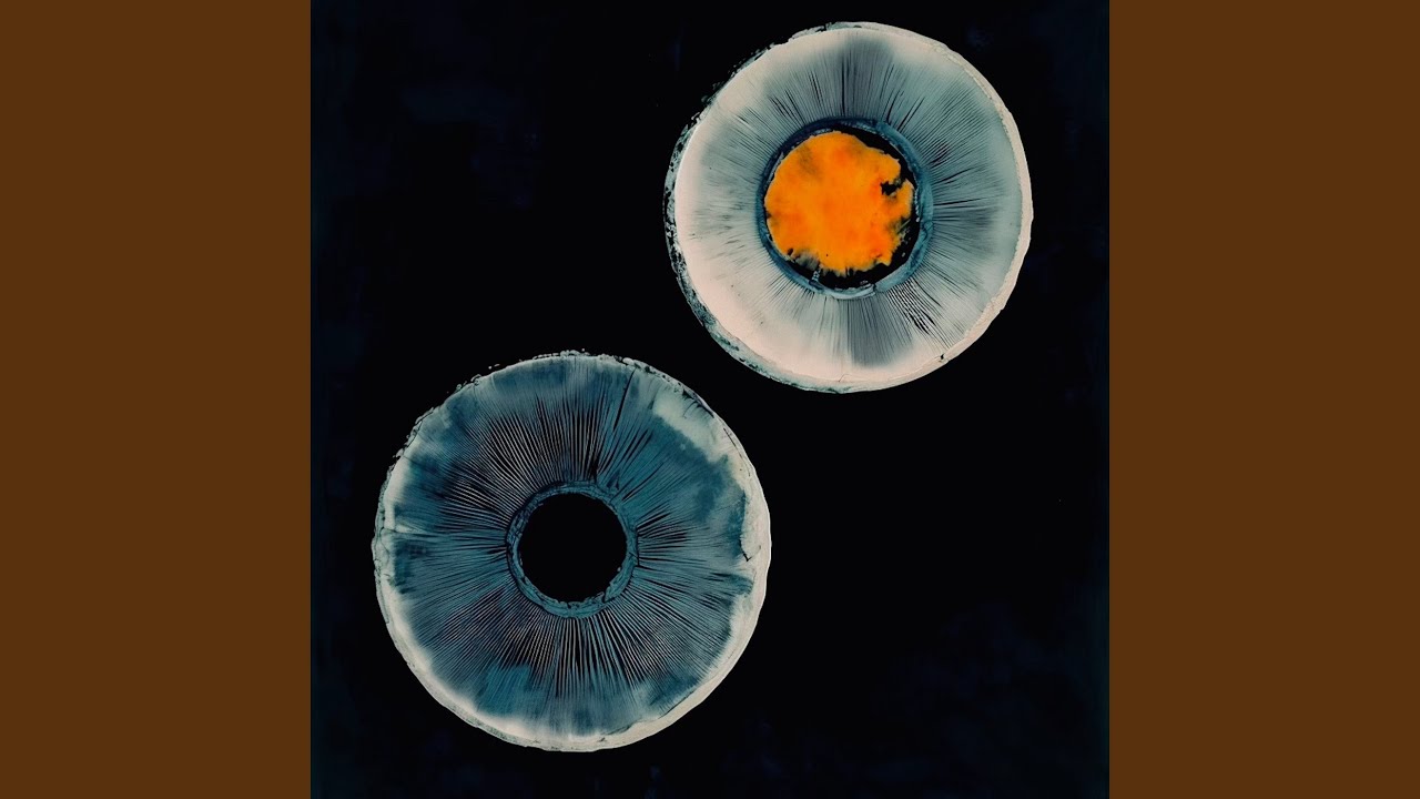 Watch Seeking on YouTube Watch Seeking on YouTube