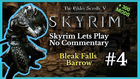 TES : Skyrim Special Edition (MODS) | Let