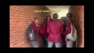 Phambili Nge War (Gwijo) #gwijo #amagwijo2025 #amagwijo #gwijosongs #gwijosongs2025 #art #yt #trends