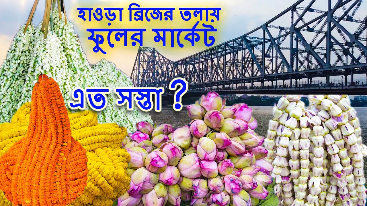 পশ্চিমবঙ্গের বৃহত্তম ফুলের বাজার | Kolkata Mullick Ghat Flower Market