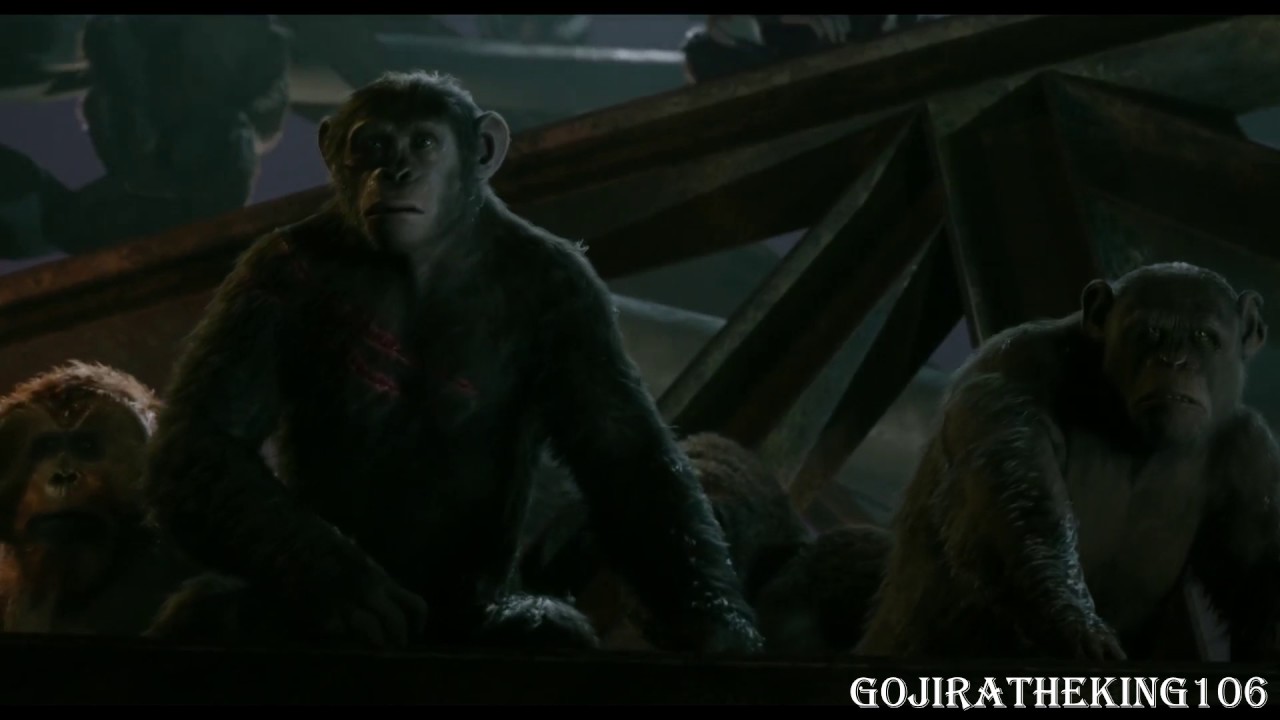 Rise, Dawn and War for the Planet of the Apes - I Will Not Bow