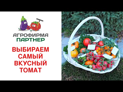 ВЫБИРАЕМ САМЫЙ ВКУСНЫЙ ТОМАТ