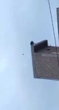 Suara walet ampuh sp bintang makmur makin jos