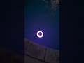 Waterproof floating speaker with lights for summer pool hangs