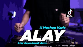 DJ ALAY X MASHUP VARIO | VIRAL TIK TOK