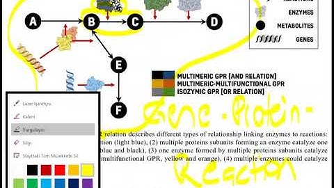 Lecture 6.2 - COBRA Toolbox | Genome Scale Metabolic Models