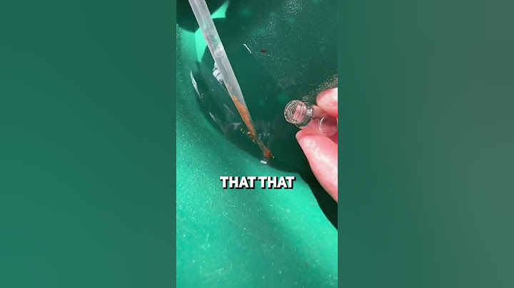 How much can you make gold panning?