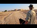 Horseback Riding in Bahrain, Ghazwan Stables to Portuguese Fort and Beyond