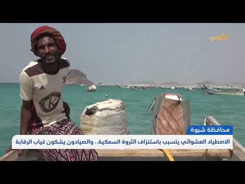 شبوة: صيادو بئر علي يناشدون لإنقاذ الثروة السمكية ومهنتهم