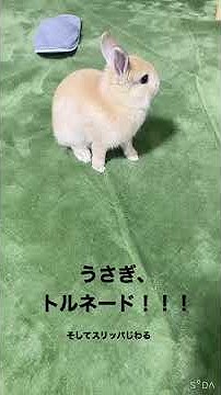 トリプルアクセル Youtube