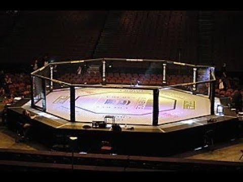 Ideal Rules and Judging System for MMA - Coach Zahabi