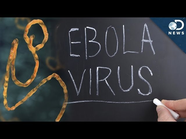 Everything You Need To Know About Ebola