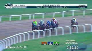 Vidéo de la course PMU PRIX BUDISTA DAN (2EME PELOTON)