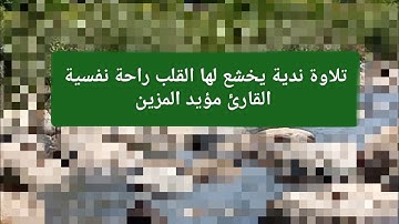 تلاوة ندية يخشع لها القلب راحة نفسية القارئ مؤيد المزين
