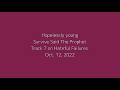 【和訳】 Survive Said The Prophet 「Hopelessly young」 lyrics