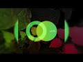 ⚫ DA FRESH - COLD LIGHT (AREA VERDE)