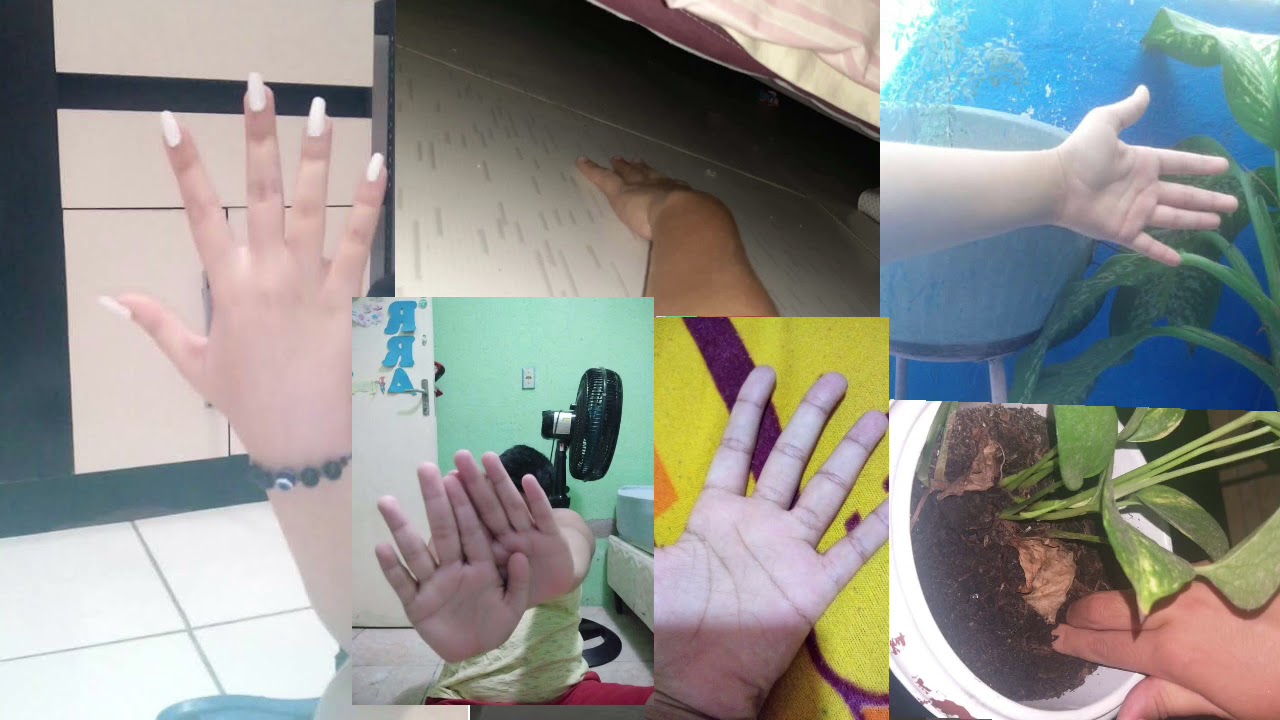 Vídeo alunos Marieta Guedes