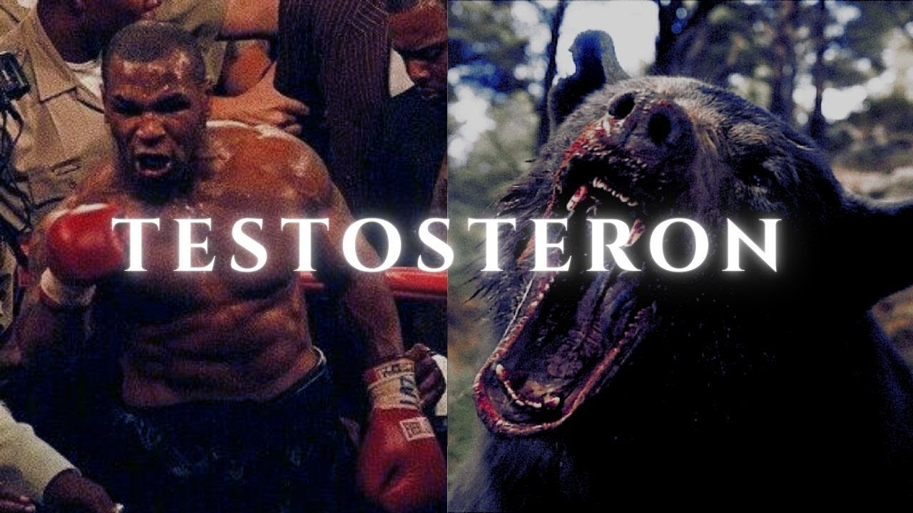 𝐓𝐄𝐒𝐓𝐎𝐒𝐓𝐄𝐑𝐎𝐍𝐄. #testosterone