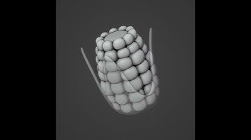 Corn 3D Modeling #shorts #blender #blender3d #b3d #3dmodeling #youtubeshorts