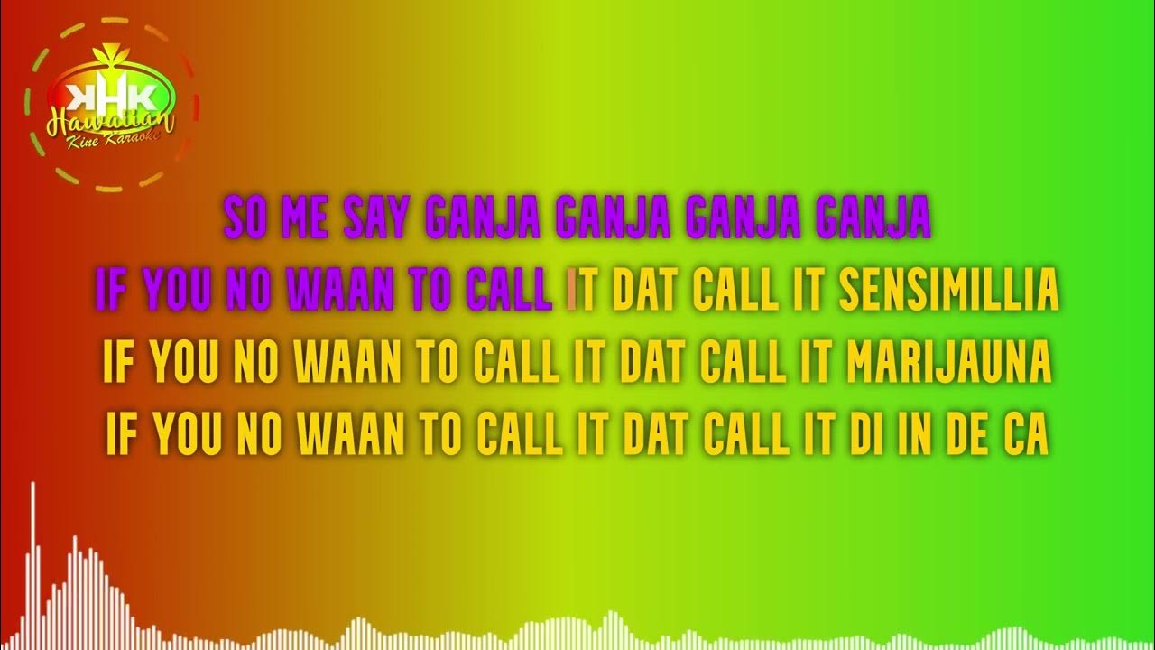 J Boog Ganja Farmer (Karaoke Version) Hawaiian Karaoke YouTube