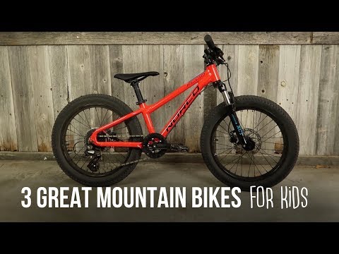 cheap mountain bikes near me