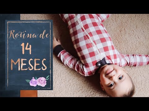 Vídeo: O que meu bebê deve fazer aos 14 meses?